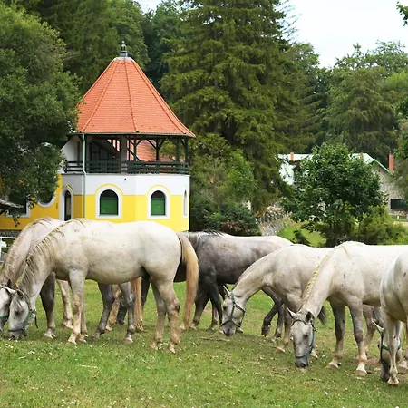 Csipkéskúti Lovas
