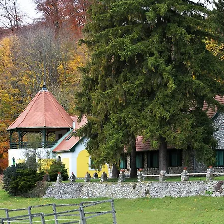 Csipkéskúti Lovas Miskolc