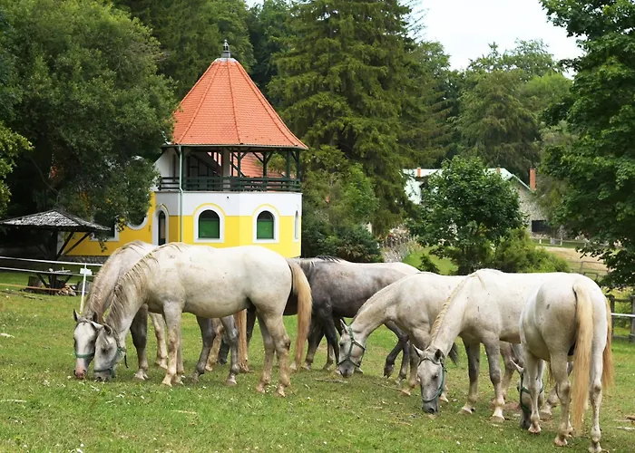 Csipkéskúti Lovas
