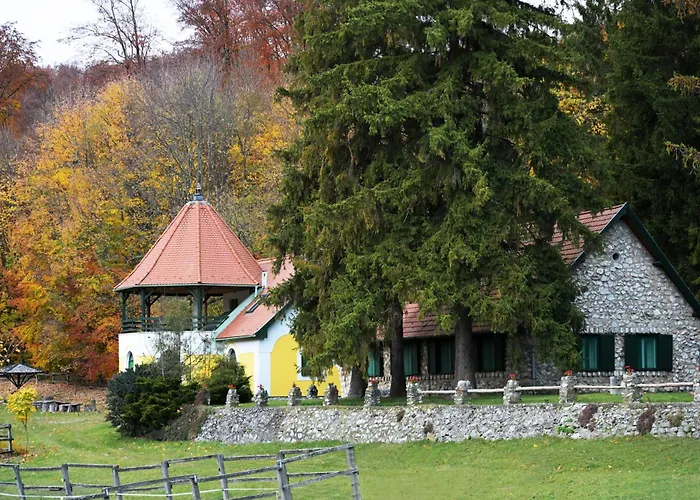 Csipkéskúti Lovas Miskolc
